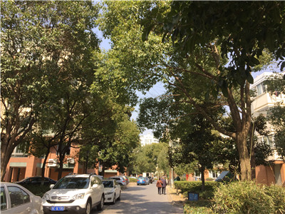 �@�^(q��) ��ܰ���@